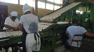Trabajadores en la producción de alimentos